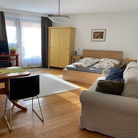 Apartment Grazbachgasse - Gratis Tiefgaragenplatz Esterno foto